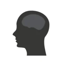 Neural Health